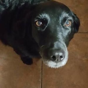 Meet your Posher, Jeremy